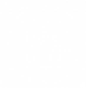 Life 101 Logo